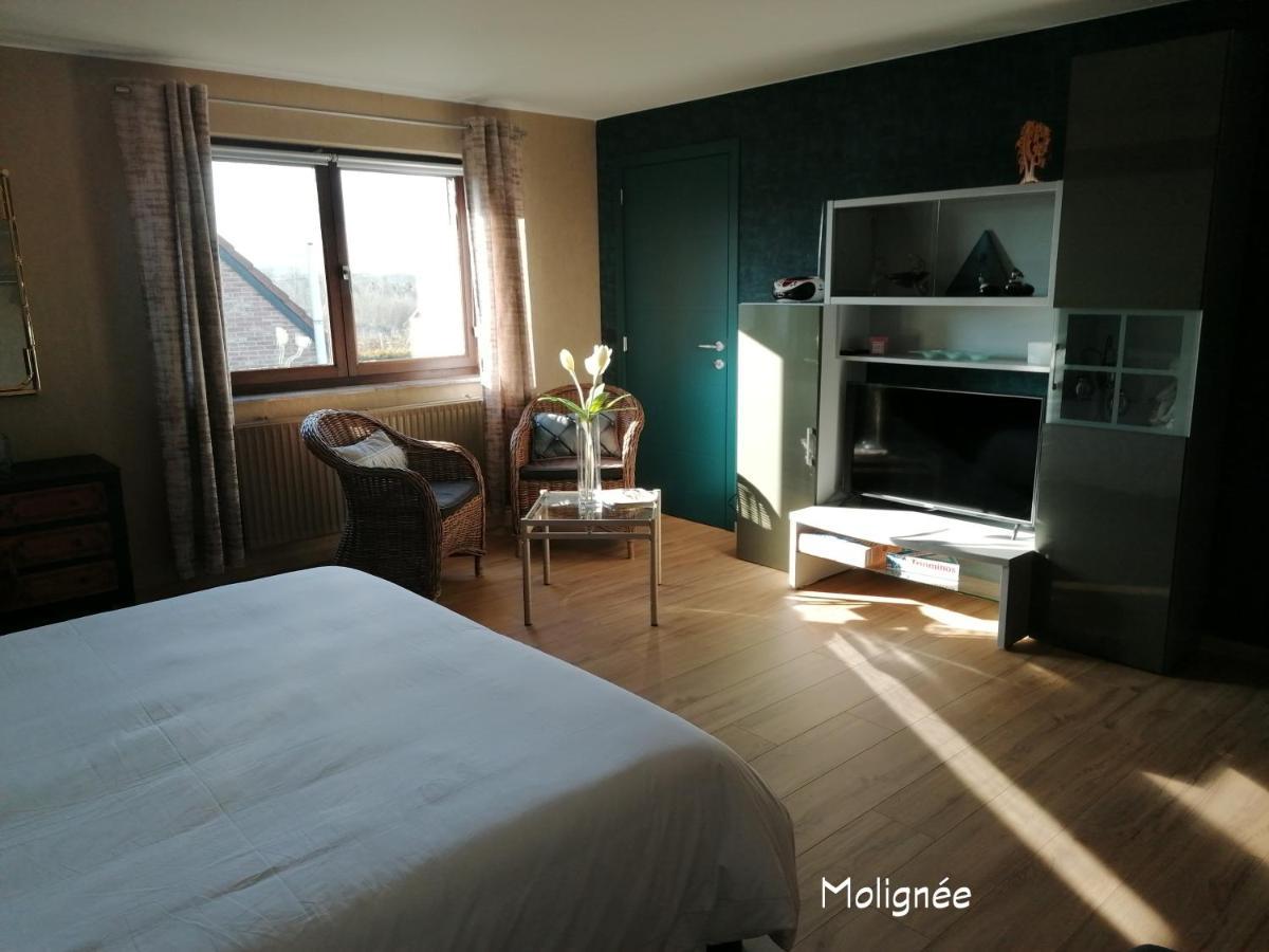Bed and Breakfast Le Cerisier Bioul Exterior foto